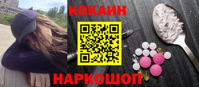 гашик Моздок