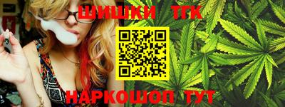 гашик Моздок