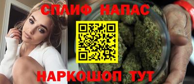 гашик Моздок