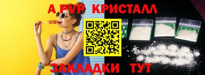 гашик Моздок