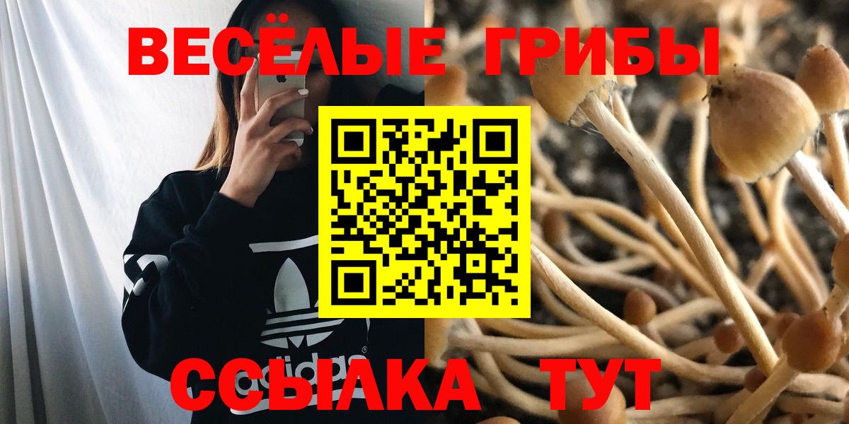 Псилоцибиновые грибы MAGIC MUSHROOMS  Галлюциногенные грибы GOLDEN TEACHER  Вход с VPN  Трёхгорный 