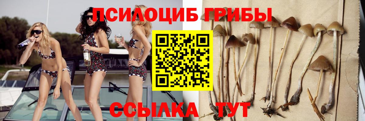 Галлюциногенные грибы Cubensis Трёхгорный